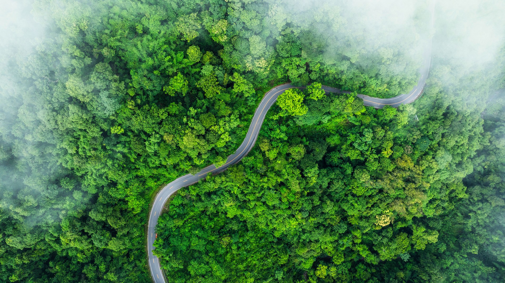 Aerial view of road in the middle of the forest , Top view road curve construction up to mountain, Rainforest ecosystem and healthy environment concept