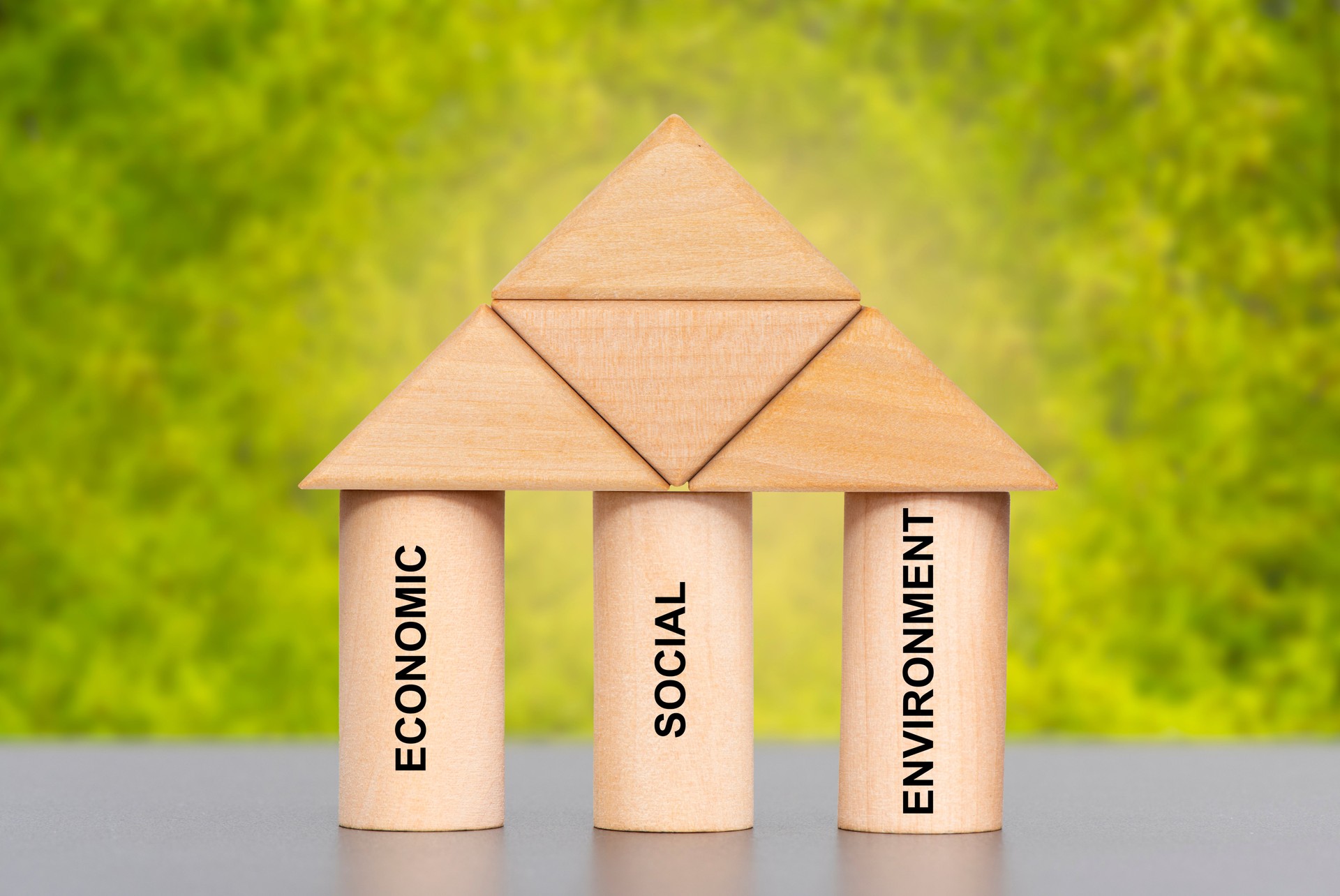 sustainability with economy, ecology and social